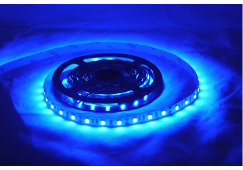 LED Strips-5050-5m- Blue